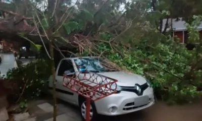 800019-temporal-20en-20las-20redes