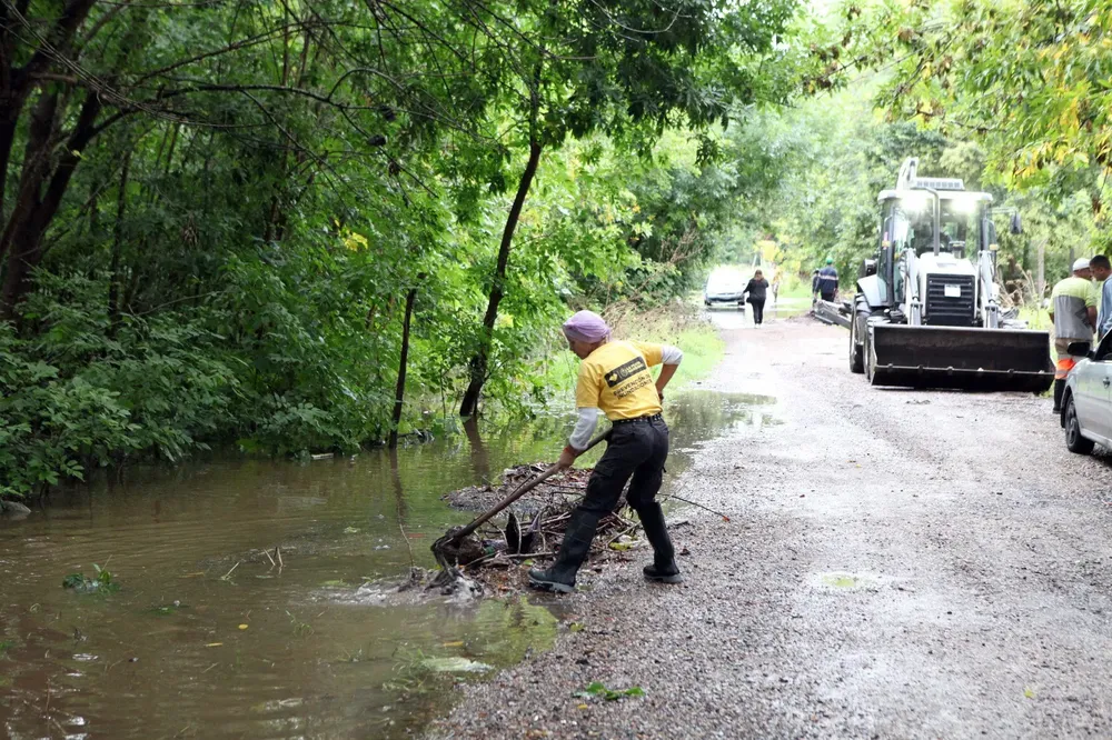 multimedia.normal.aaabefd18b94bd2e.M19ub3JtYWwud2VicA==