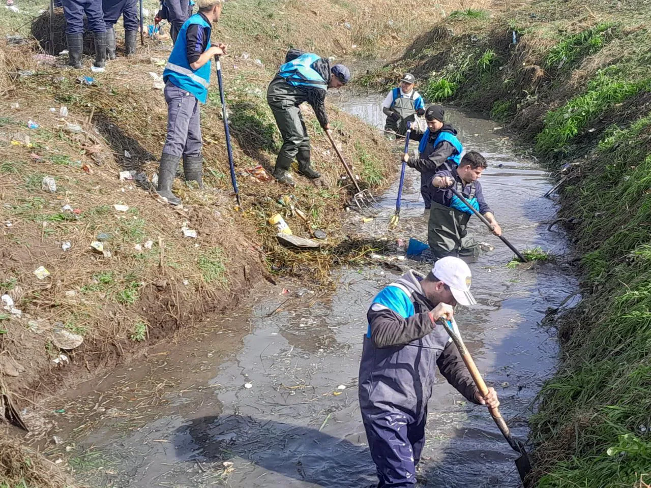 d5a520c7-95de-432c-8a71-ef3d7dadb1a5