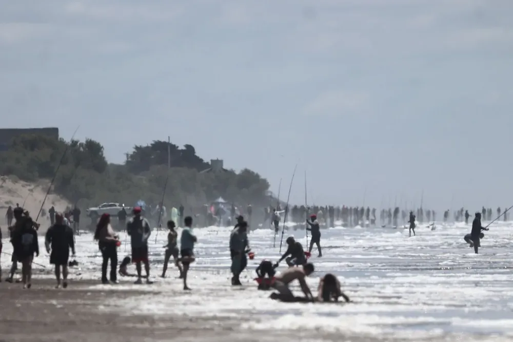 bc8dfdfa-51c8-4d2c-bc80-ea2efc46440d