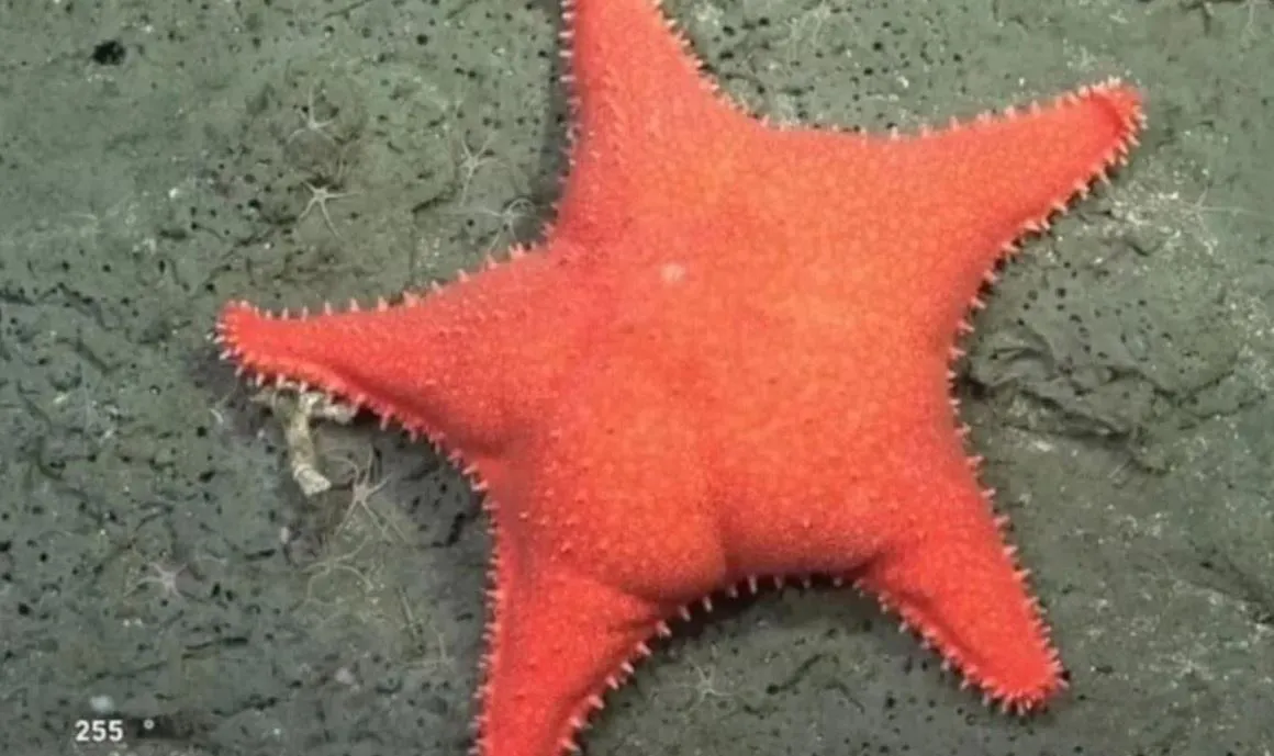 ggggggggggggg