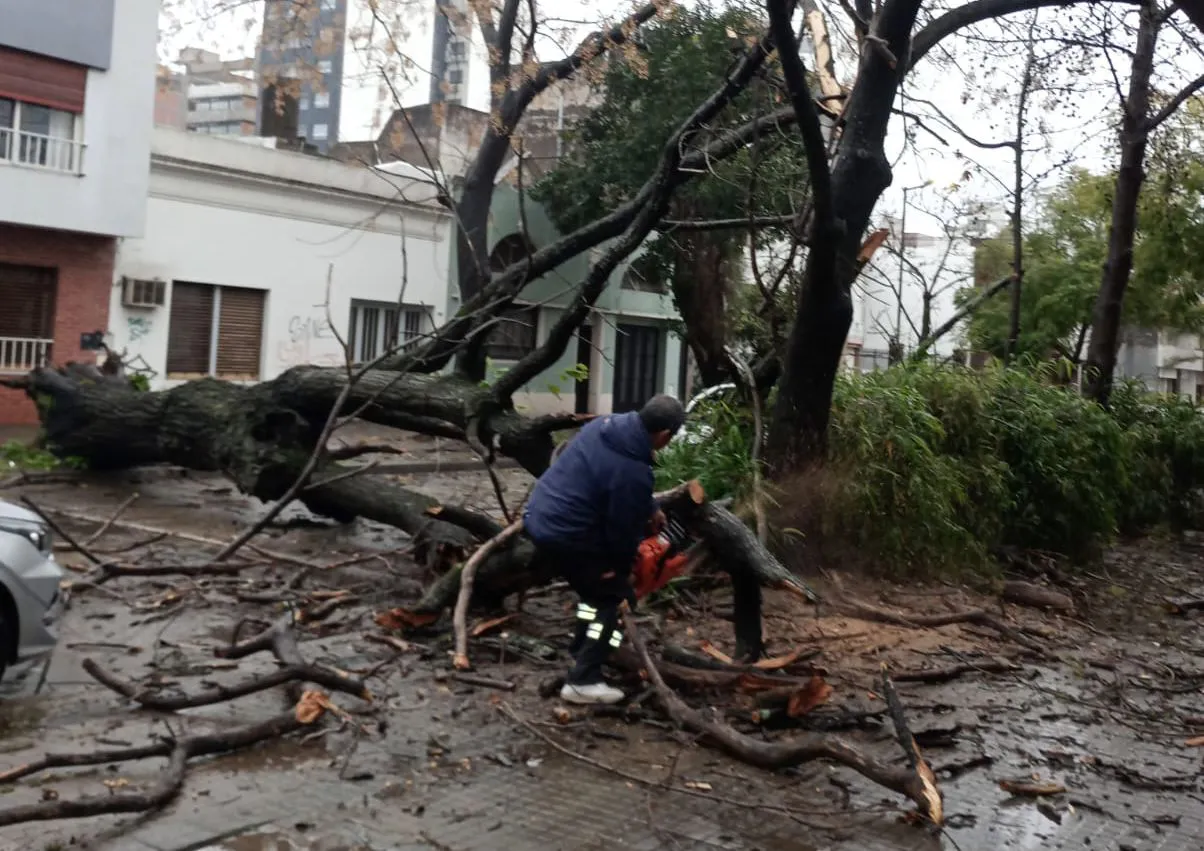 a78a1f1d-9b8e-4bc9-8ed8-85a0ca2efc80