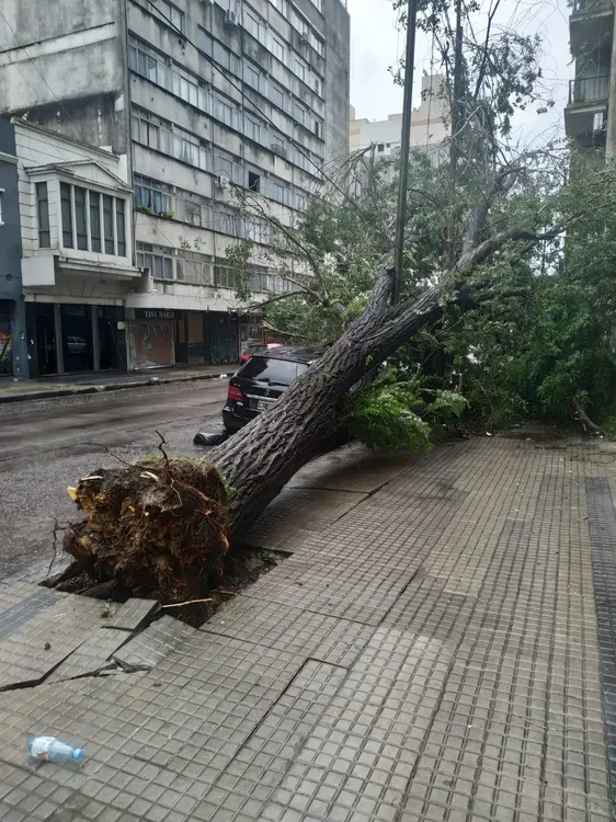 multimedia.grande.937a26d0a3360605.MyBQUklOQ0lQQUwgKDEpX2dyYW5kZS53ZWJw